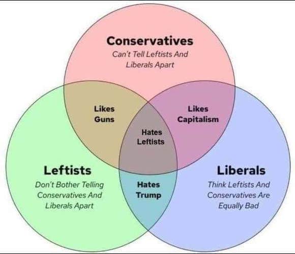 picture of a leftist venn diagram showing that conservatives don't know the difference between leftists and liberals, liberals don't bother to recognize the difference between liberals and conservatives, and that everyone hates leftists