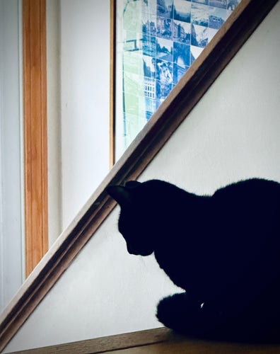 Black cat sitting all tucked in at top of stairs. Lines of railing, door, picture frame, and floor all juxtapose the cat’s soft curves. 