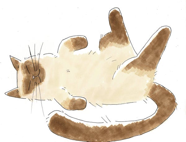 A hand-drawn cartoon of a sleeping siamese cat lying on its back with its legs all akimbo. It has a satisfied smile on its face.