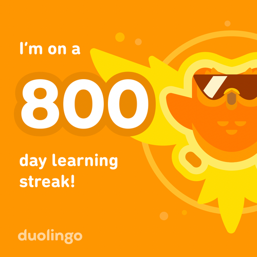 A golden cartoon owl with sunglasses. Text reads: “I’m in a 800 day learning streak!”