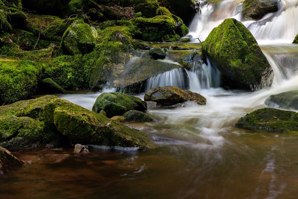 Eine Waldszenerie eines kleinen Bachwasserfalls mit bemoosten Steinen.