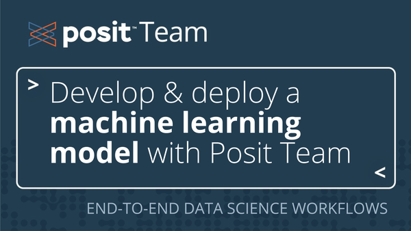 Develop & deploy a machine learning model with Posit team. 