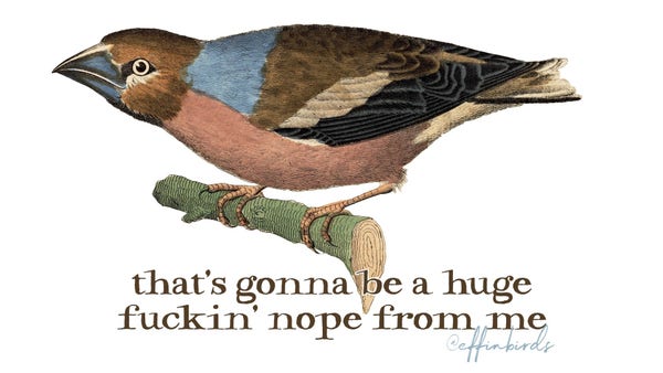 A painting of a bird beside the text  "that's gonna be a huge fuckin' nope from me"