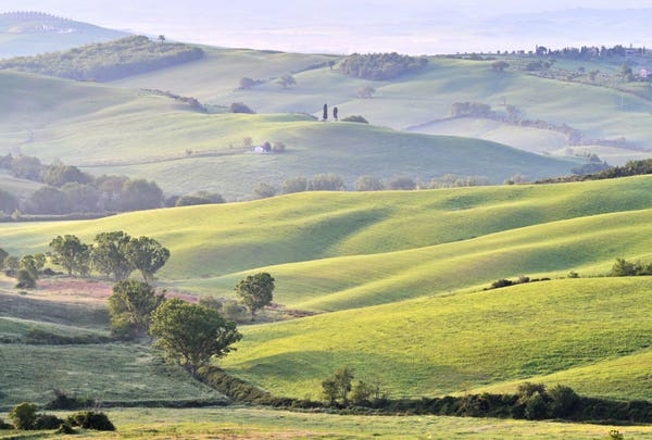 The rising sun illuminates the gently rolling hillside and begins to dispel the morning mist from the fields.