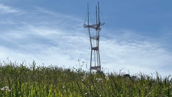 Sutro Tower sitting peacefully in a field of green grass