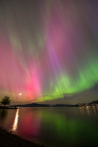 aurora borealis over a bay, seen from the beach. columns of green, purple, and dark red are visible, as well as the moon. they all have their shine reflected by the water