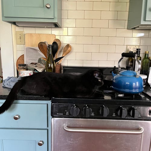 a black cat lays down on a countertop and stove top, over one burner (not on fire)