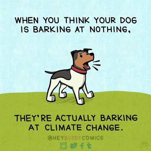 WHEN YOU THINK YOUR DOG
IS BARKING AT NOTHING,
THEY'RE ACTUALLY BARKING
AT CLIMATE CHANGE.
@HEYBUDDY COMICS