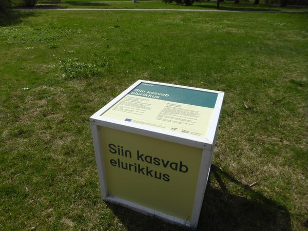 "Biodiversity grows here" box signalling an area of a park in Tartu, Estonia, where the grass won't be cut this year, in occasion of Tartu's year as European capital of culture. Birds are seen feeding in the area.