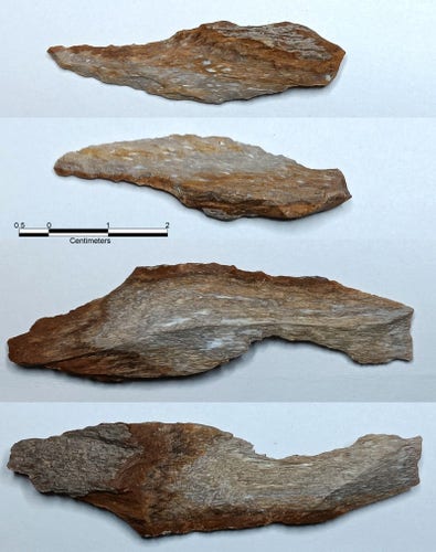 Top 2) Dorsal & ventral of a semi-lanceolate shaped perforator 5.0 x 1.4 cm in size. Bottom 2) Dorsal & ventral of an arm-shaped flake. Both appear to have interior bark wood 6.9 x 1.95 cm in size.