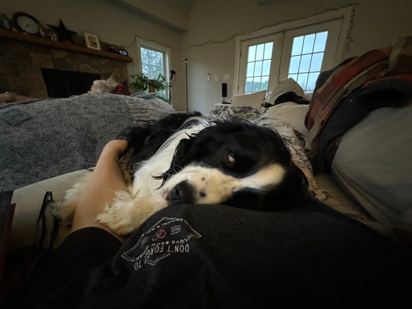 A wide angle, photo of what I am seeing. There is a black-and-white dog with half open eyes. His butt is on the couch beside me. His head is on my sternum. His front right paw is resting on my inner elbow.