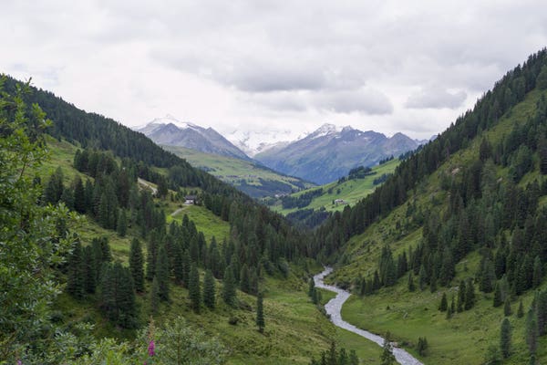Blick in eine Landschaft in den Alpen. Ein Fluss schlängelt sich.