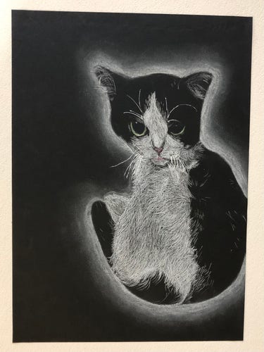 A drawing of Peach the tuxedo cat