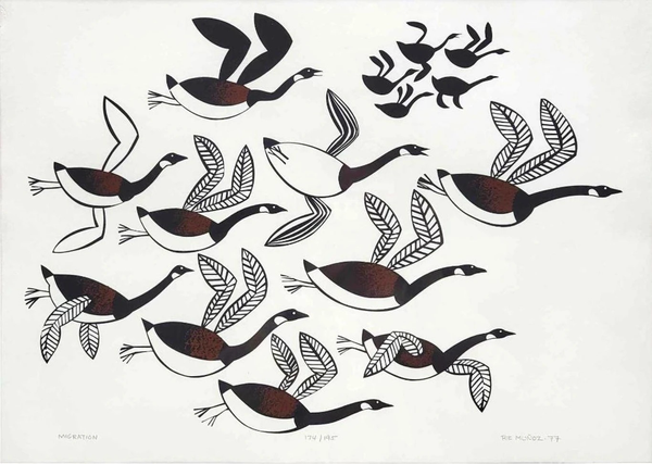 color print, illustration of a flock of 15 birds (Canada Geese) in flight on white background, elements of Pacific NW Coast art style