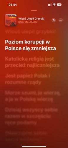 Zrzut ekranu aplikacji odtwarzacza multimedialnego przedstawiający utwór muzyczny zatytułowany "Wicuś Ulepił Grzybki" Kazika Staszewskiego, z dodatkowym rozmytym tekstem w tle