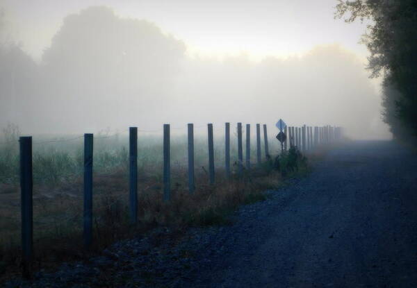 A line of fence posts seemingly disappear into the mist along a trail in Nova Scotia 