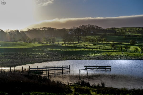 Morning sun over lakeside with fields and trees in background, cloud streaked blue skies above. Ruined jetty in centre frame in water