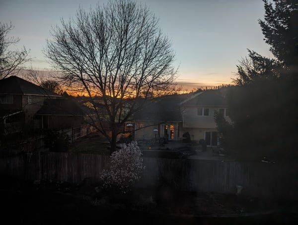 picture of a sunrise through an empty tree