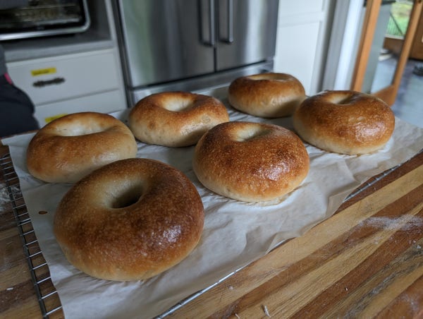 A set of six large, sourdough bagels with a deep brown crust sit cooling on a parchment sheet above a cooling rack.