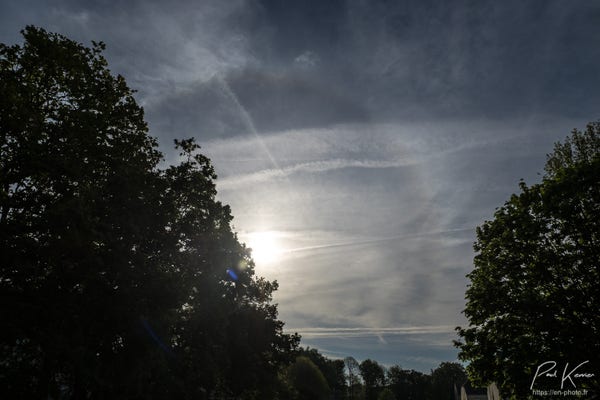 Photo en couleur d'une portion (un peu plus de la moitié ?) d'un halo de 22° solaire entourant le soleil qui apparaît derrière des arbres. Le ciel est partiellement occupé par des nuages élevés (cirrus ?) et des traînées d'avion.