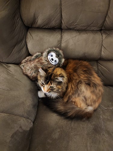 A torbie with black, orange, brown, and white markings snuggled up next to a small toy sloth on a recliner.