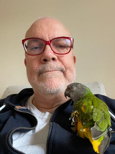 Man with red glasses with a Senegal parrot sitting on him. The parrot is green and yellow and grey and the man is wearing a blue jumper over a white undershirt.