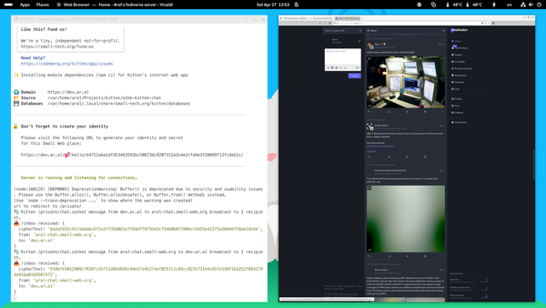 Screenshot of Vivaldi on one half of the screen at @1x resolution and WezTerm on the other at the correct @2x resolution.