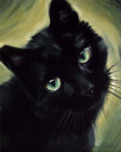 Pretty black kitty with hopeful eyes