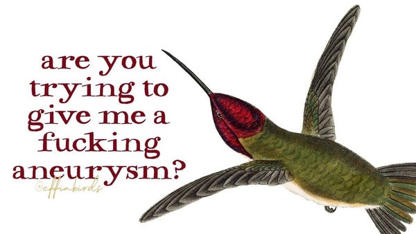 A painting of a bird next to the words "are you trying to give me a fucking aneurysm?"
