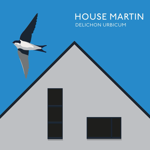 Illustration of a house Martin flying over the apex of a house roof