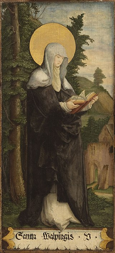 Saint Walpurga in a nun's habit reading a book at the edge of a forest