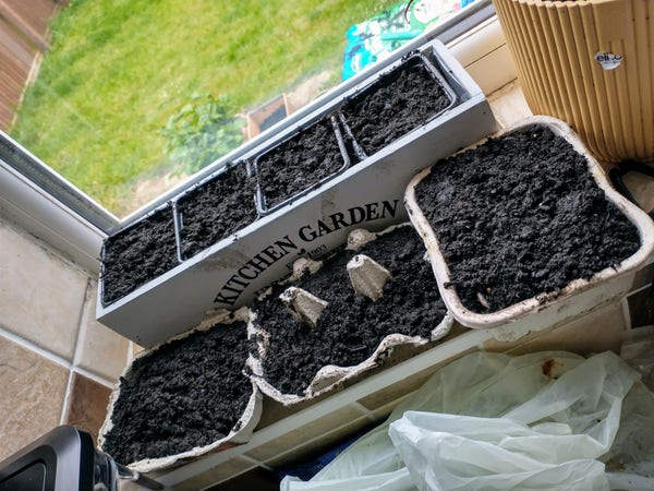 A windowsill with a long kitchen garden container with 4 square pots of compost in it and in front of that 3 egg boxes with compost in.