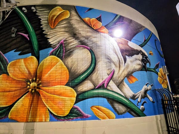 Late night view of a bright colorful mural painted on the curved side of a small building. An osprey with wings spread and foot claws open appears to be about to land on its prey, against a brilliant blue background surrounded by colorful flowers.