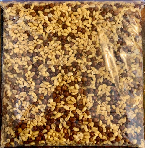 A plastic bag lying flat filled with tan and dark-brown seeds, tan being wheat, dark brown being chickpeas.