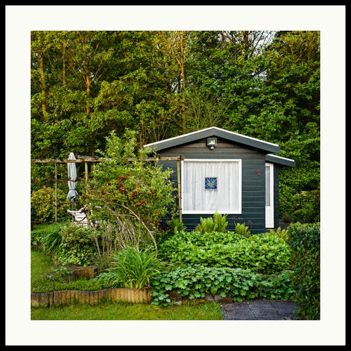 colour - dark green cabin on a allotment garden plot right on the edge of the forest. shot during the early morning hour.