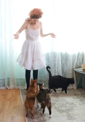 A photo of Sini standing in a light filled living room in front of lace curtains, looking down at two cats walking towards her and doing a little stretch, leaning into each other. In the background is a third cat. They are orange, brown tabby and black tuxedo cat respectively. Sini is wearing a white cotton batiste shift with minute pintucks and a large and loose, voluminous pair of Victorian drawers, as well as black socks and a wig with darker roots and curly ginger hair. She looks surprised and delighted to see the cats which she has been living with since 2016.