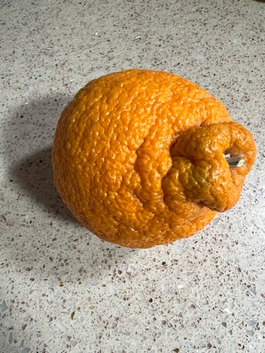 A big lumpy orange with a “nub” on one end