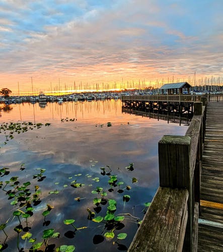 View from entrance of an old weathered wood boardwalk and pier over a marsh-like shoreline with a colorful sunrise of pink, yellow, and orange shades rising from the horizon, beyond the silhouettes of countless sailboat masts, lined up at a nearby marina.
