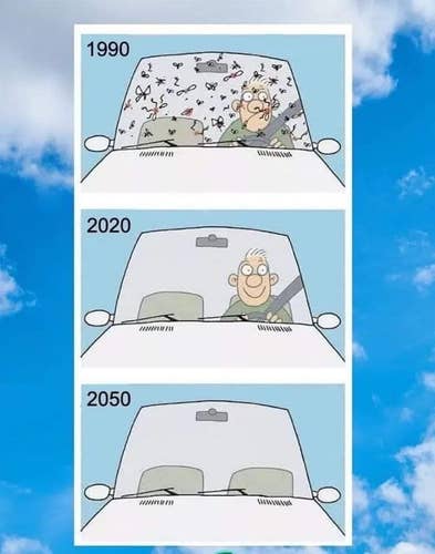 Un mème en trois cases : 1. 1990, le pare-brise est couvert d’insectes. 2. 2020, le pare-brise n’a plus le moindre insecte 3. 2050, il n’y a plus de conducteur non plus.