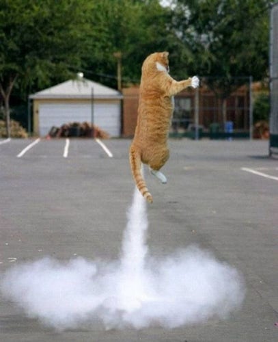 A cat appears to be lifting off into space leaving a plume of white smoke in its wake.