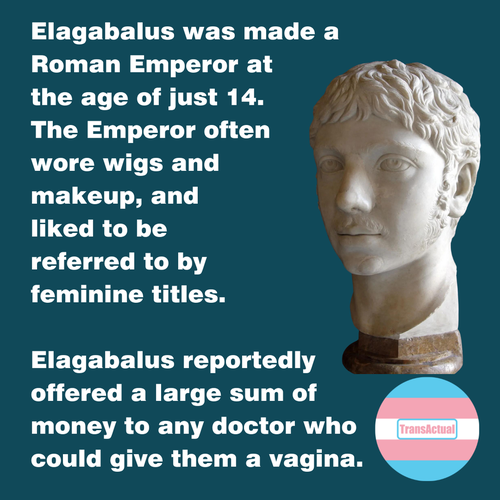 (Accessibility: Dark blue background with a Roman bust. Text: Elagabalus was made a Roman Emperor at the age of just 14. The Emperor often wore wigs and makeup, and liked to be referred to by feminine titles. Elagabalus reportedly offered a large sum of money to any doctor who could give them a vagina. )