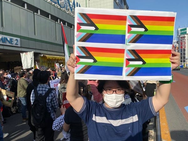 Person holding a "progress pride flag with Palestine"
A pride flag with an arrow pointing inwards from the left in the bi and trans colours.  Centred in the arrow is the Palestinian flag