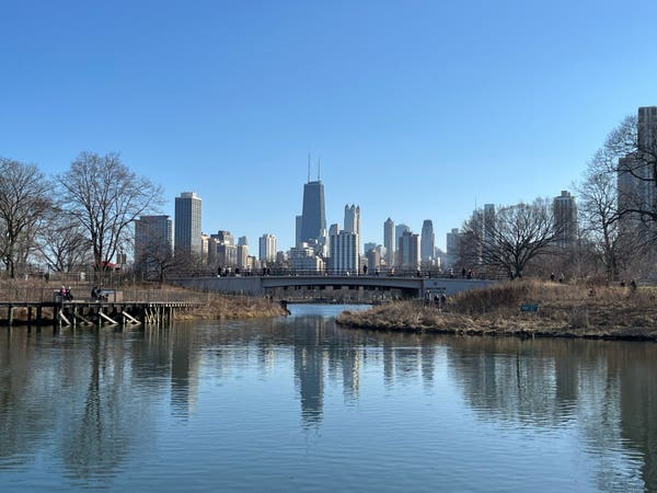 Chicago skyline viewed from a park with a bridge over a calm pond, people walking around, and clear blue sky.