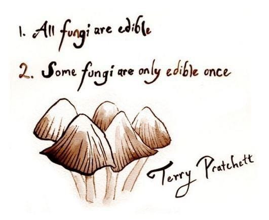 A drawing of a small cluster of mushrooms. 

1. All fungi are edible 
2. Some fungi are only edible once 

~ Terry Pratchett