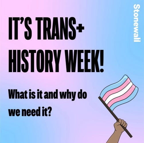 IT'S TRANS+ HISTORY WEEK! What is it and why do we need it?