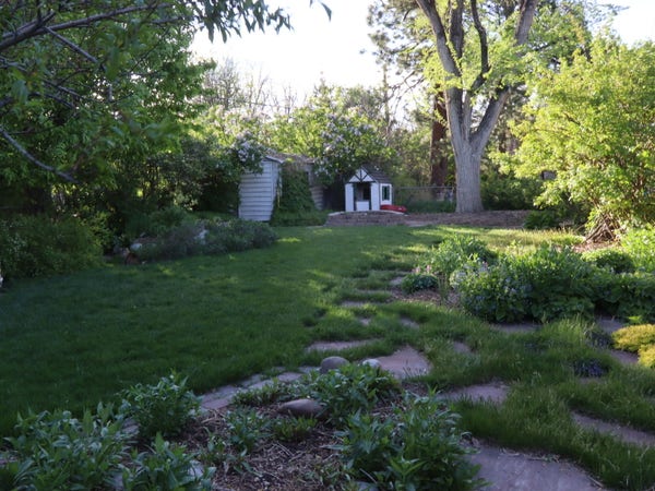 A back yard is shown, stone walking path, green everywhere and plants that appear ready to bloom!