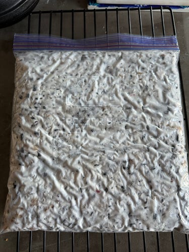 A slab of tempeh in a freezer bag