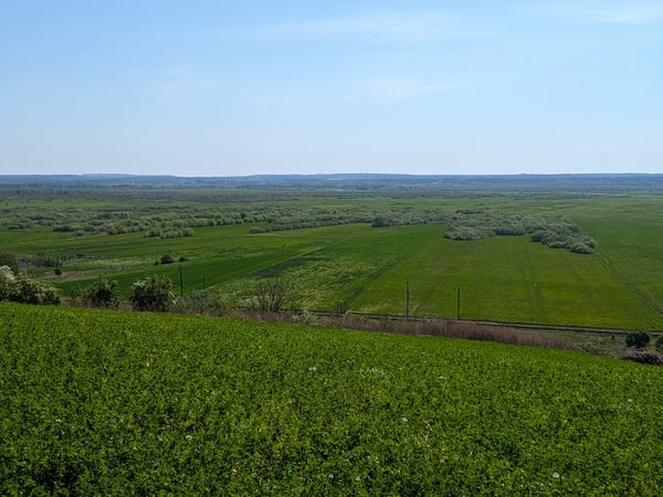 Widok z brzegu doliny Noteci na szerokie połacie nadrzecznych łąk poprzecinanych pasami krzewów.