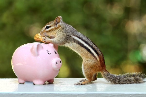 Photograph of a chipmunk trying to put a peanut into a pink piggy bank, by photographer Peggy Collins.