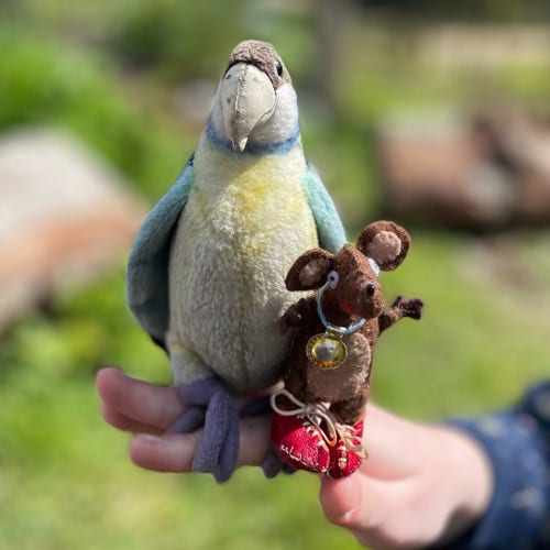 Photo of Silvius, the baby Latin mouse, with an unexpected (plush) parrot